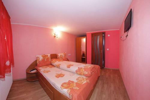Hostal Pensiunea Anisoara