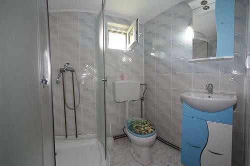 Hostal Pensiunea Anisoara