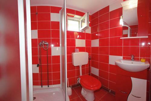 Hostal Pensiunea Anisoara