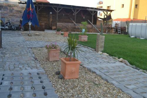 Agroturismo Hacienda Del Mar Costinesti