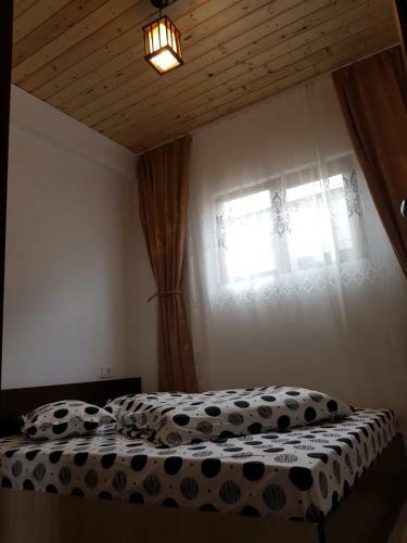 Hostal Pensiunea Cristina