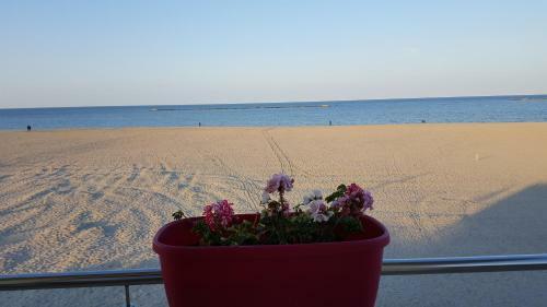 Hotel Solea Beach