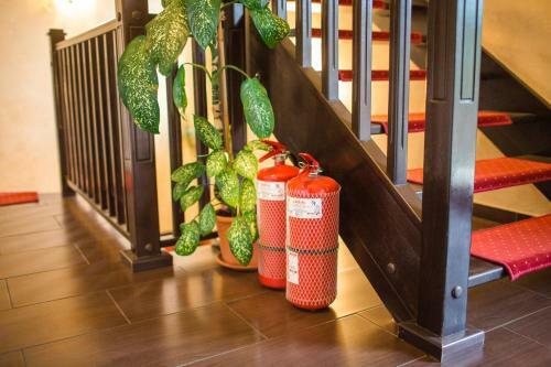Hostal Pensiune Diana