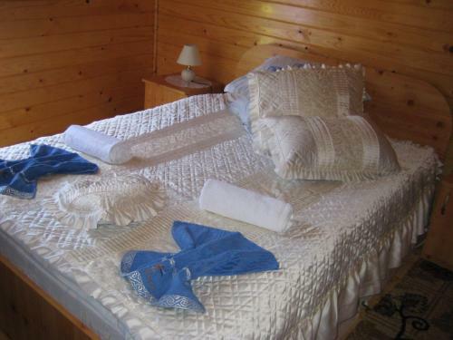 Hostal Pension Bran Ioana