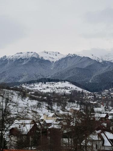 Hostal Pension Bran Ioana