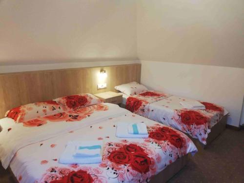 Apartamentos Casa Steluta