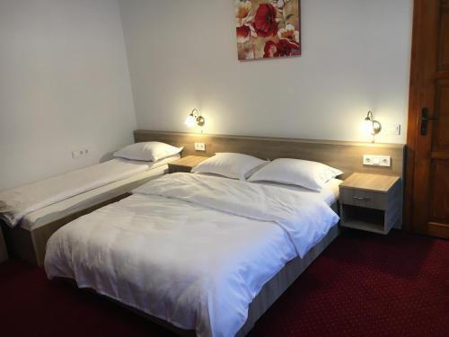 Apartamentos Casa Steluta