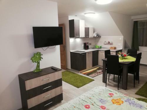 Apartamentos Casa Steluta