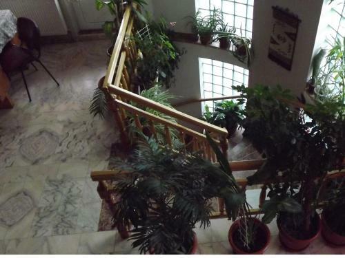 Hostal Pensiunea Caro