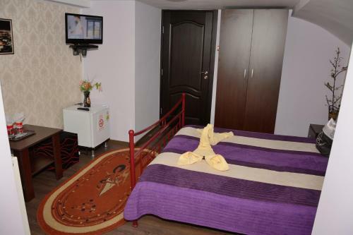 Hostal Pensiunea Caro