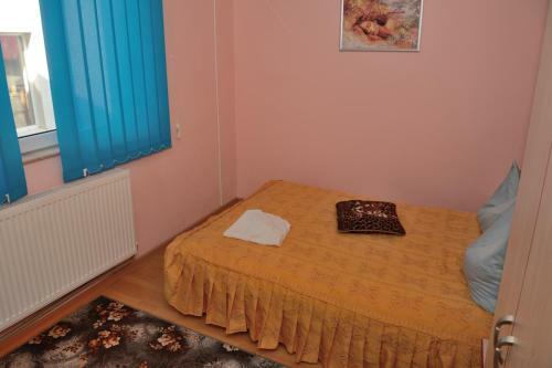 Hostal Pensiunea Caro