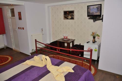 Hostal Pensiunea Caro