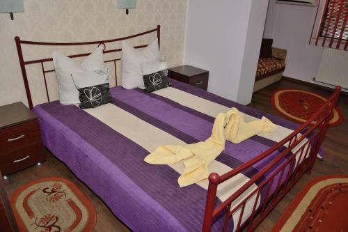 Hostal Pensiunea Caro