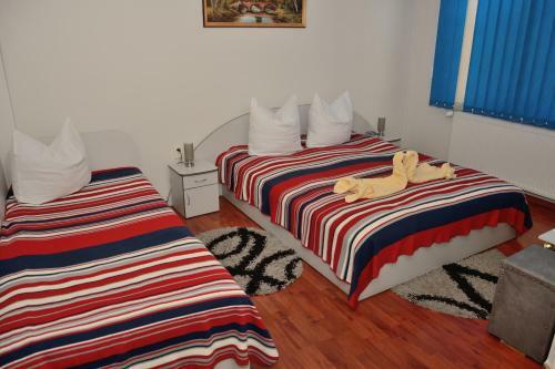 Hostal Pensiunea Caro