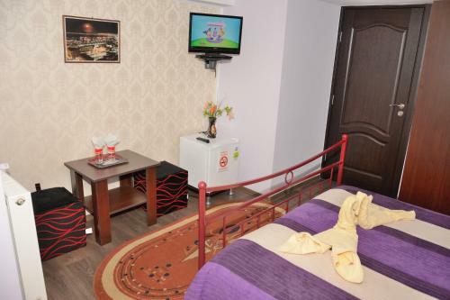 Hostal Pensiunea Caro