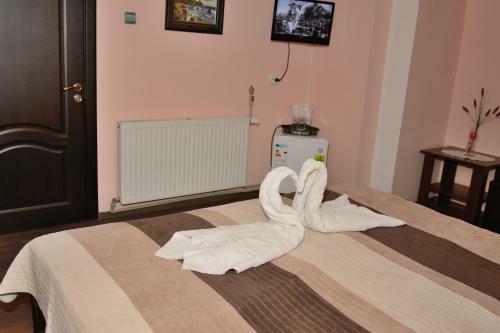Hostal Pensiunea Caro