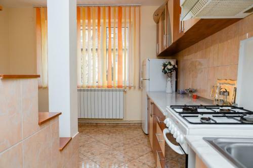 Apartamento Perfect Residence Sibiu