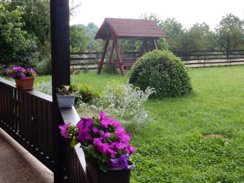 Hostal Pensiunea Marmot Residence