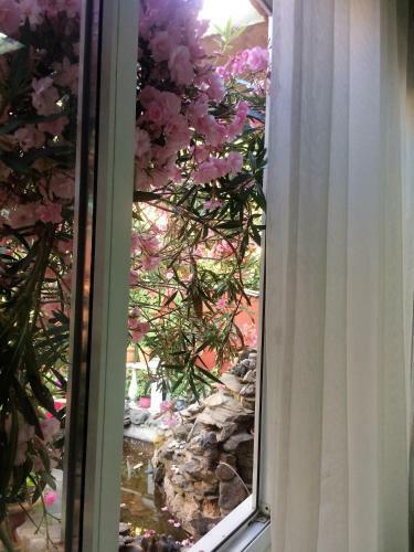 Hostal Guesthouse Azalia