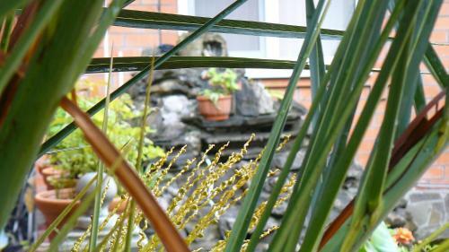 Hostal Guesthouse Azalia