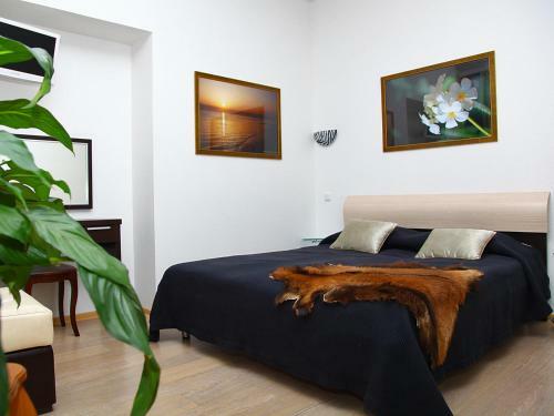 Bed & Breakfast Nevsky 126 Guest House