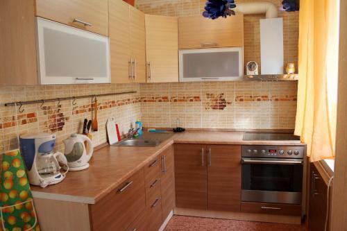 Apartment On Dusi Kovalchuk 272/4