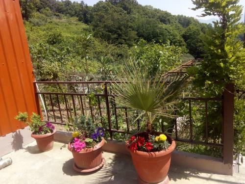 Hostal Marinka Guest House