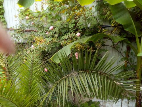 Hostal Marinka Guest House