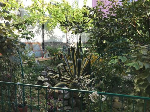 Hostal Guest House Bella