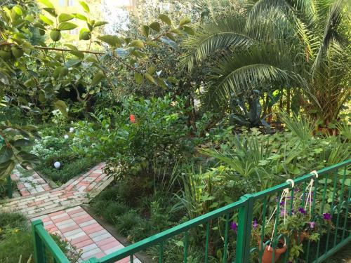 Hostal Guest House Bella