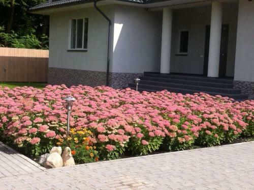 Hostal Guest House Zapadny