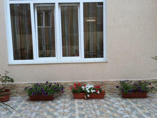 Hostal Anita Guest House