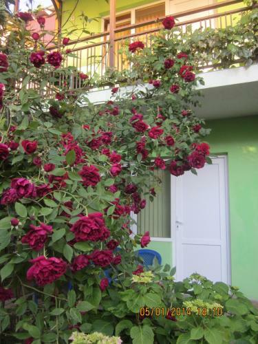 Hostal U Silvi Guest House