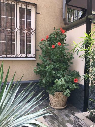 Hostal Lidiya Guest House