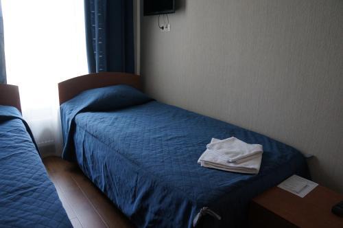 Hostal Guest House Nika Nevsky 88