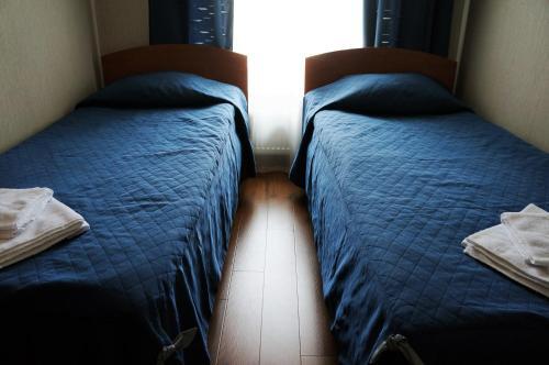 Hostal Guest House Nika Nevsky 88