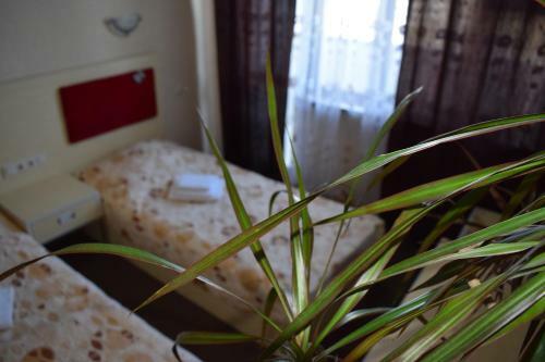 Apartment Undina