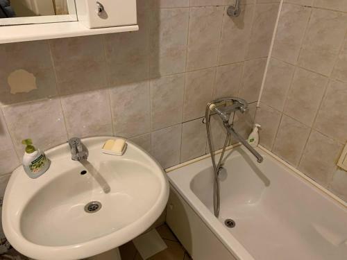 Hostel Zeleniy Dom
