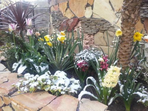 Hostal Dinastiya Guest House
