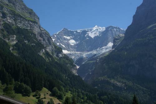 Apartamentos Chalet Wyssefluh