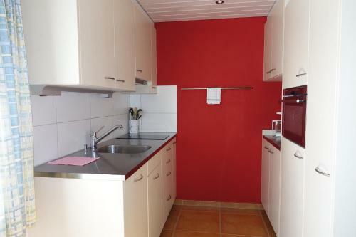 Apartamentos Chalet Wyssefluh