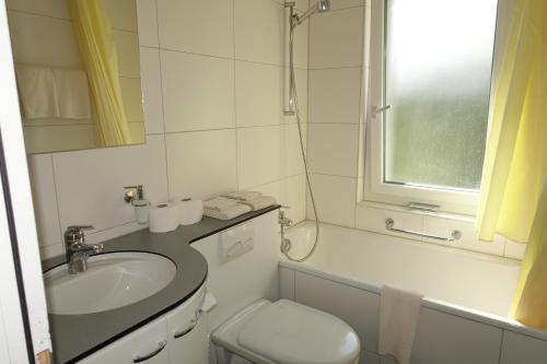 Apartamentos Chalet Wyssefluh