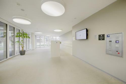Hitrental Allmend Comfort Apartments