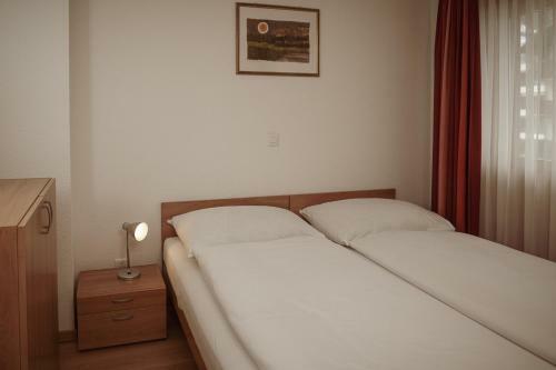 Apartamentos Haus Mischabel