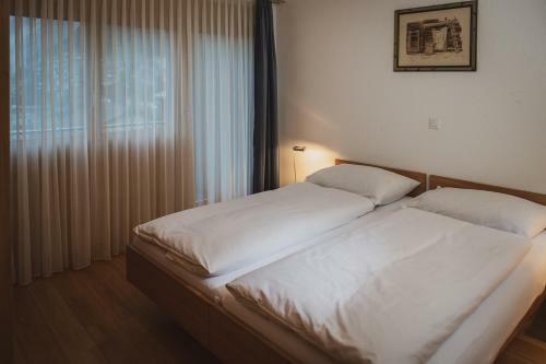 Apartamentos Haus Mischabel