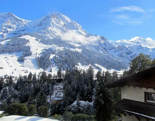 Chalet Silky