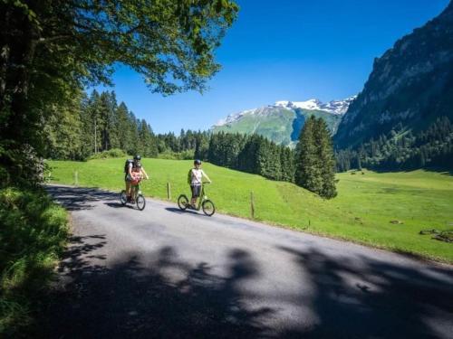 Apartment Titlis Resort Wohnung 306