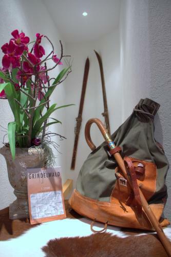 Hotel Caprice - Grindelwald