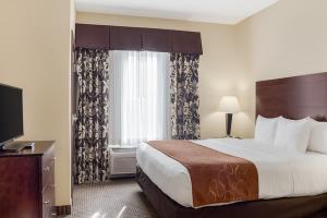 Hotel Comfort Suites Rapid City