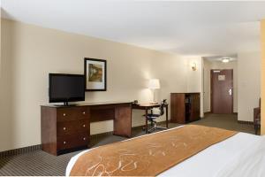 Hotel Comfort Suites Rapid City